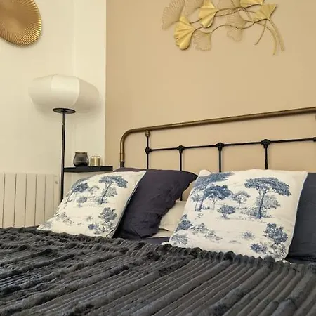 Appartement Du Roi : Proche Chateau/vue/refait A Neuf Versailles